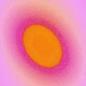 Meet your Posher, Bernadette